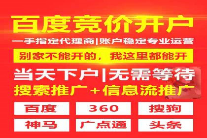 SEM推广策略如何制定——以某电商平台的成功案例为例